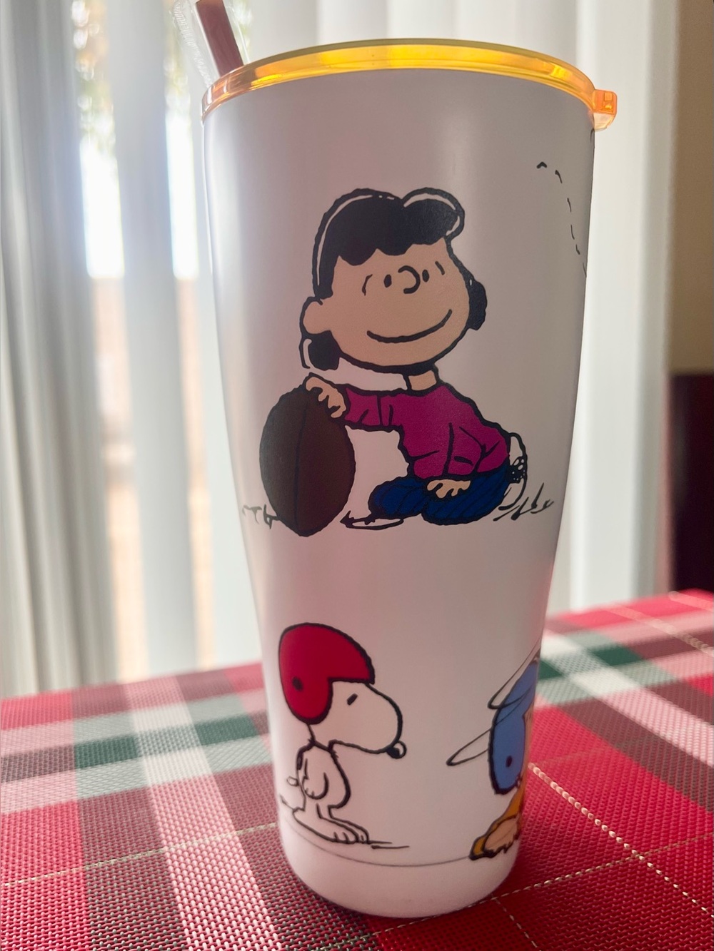 Peanuts- Snoopy and Friends American Football Stainless Steel Thermal Tumbler